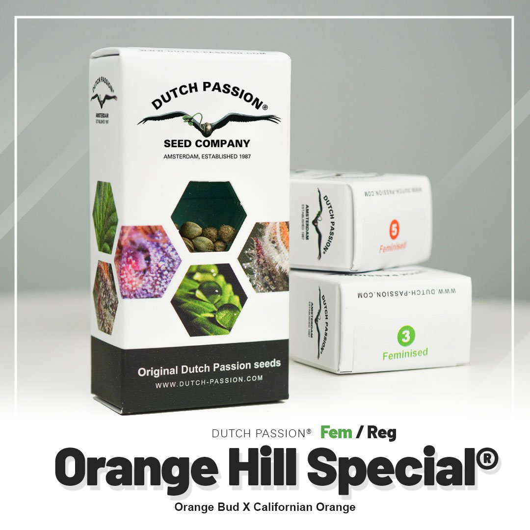 Orange Hill Special®