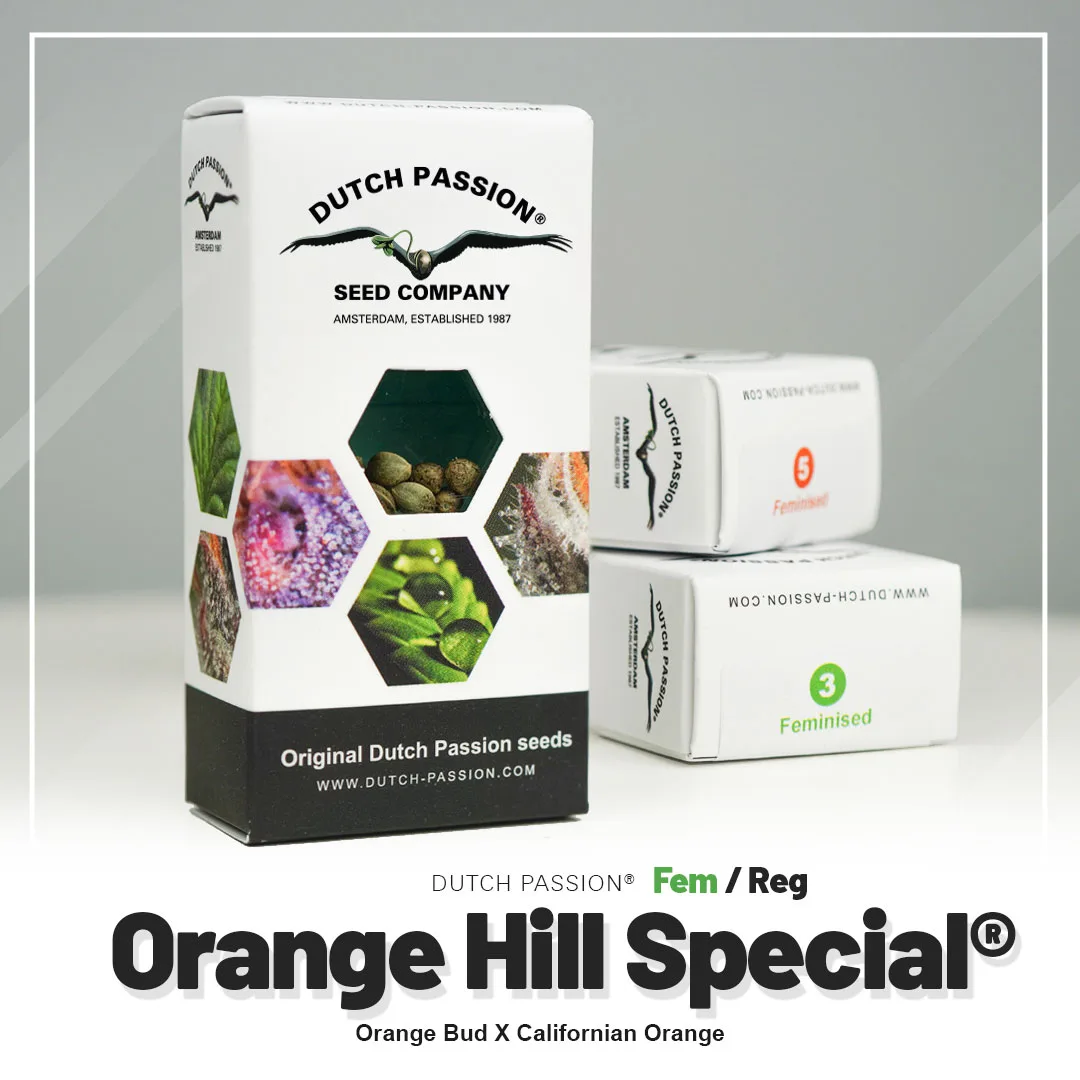 Orange Hill Special®