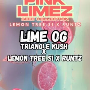 Lime OG