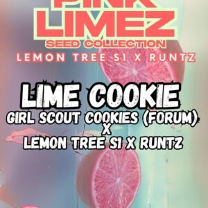 Lime Cookie