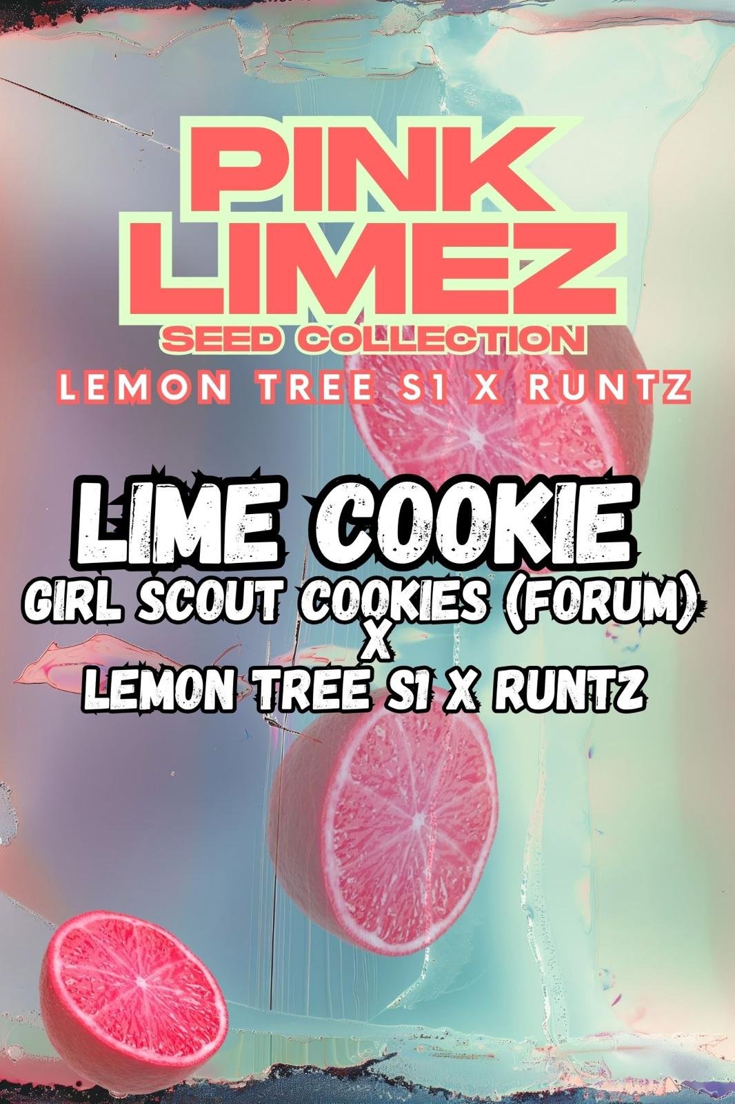 Lime Cookie