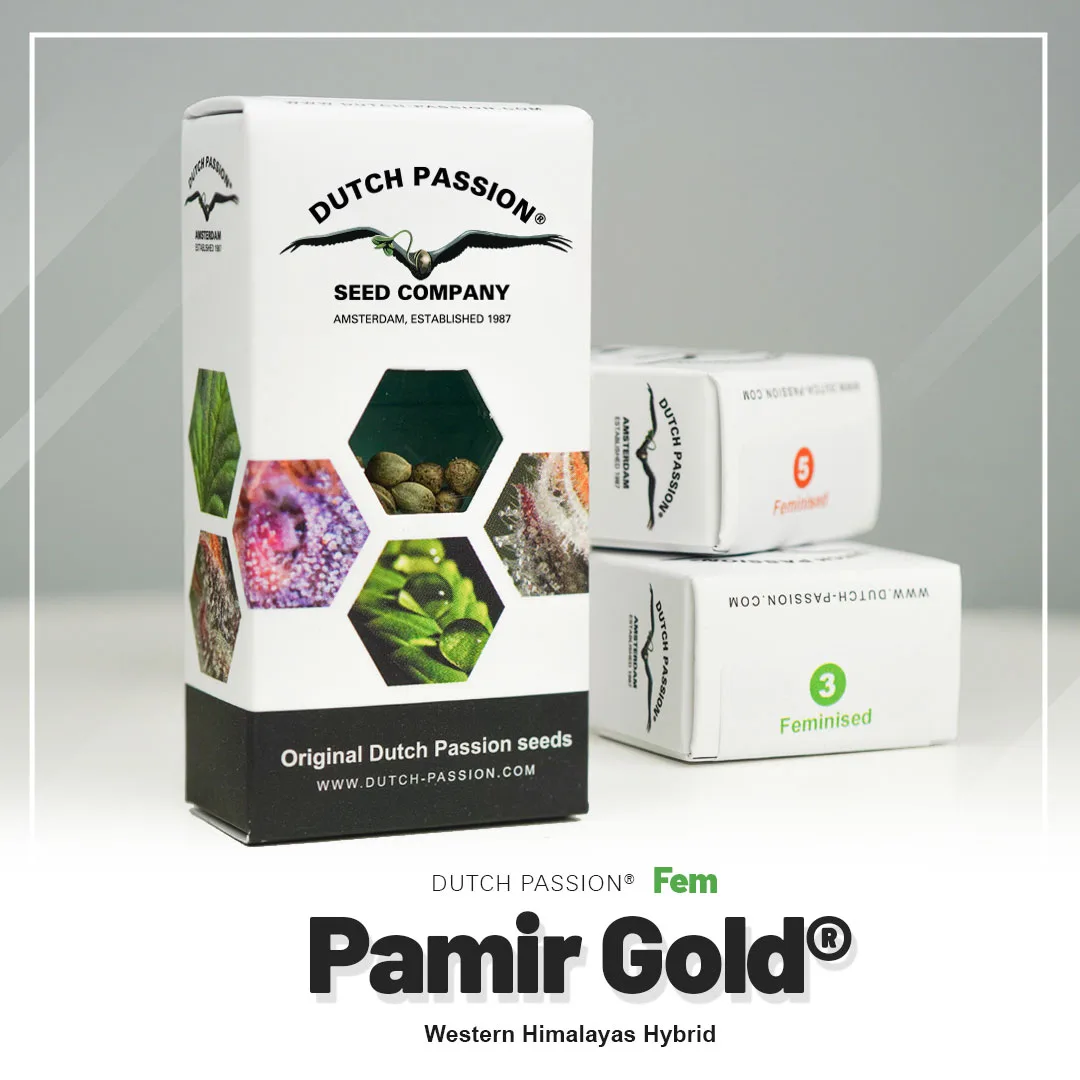Pamir Gold®