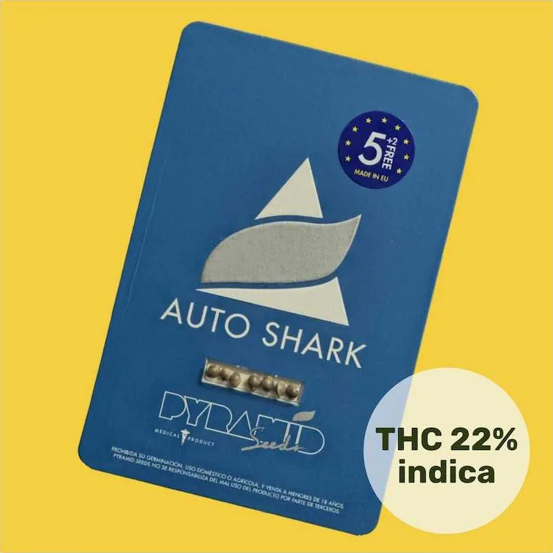 Shark