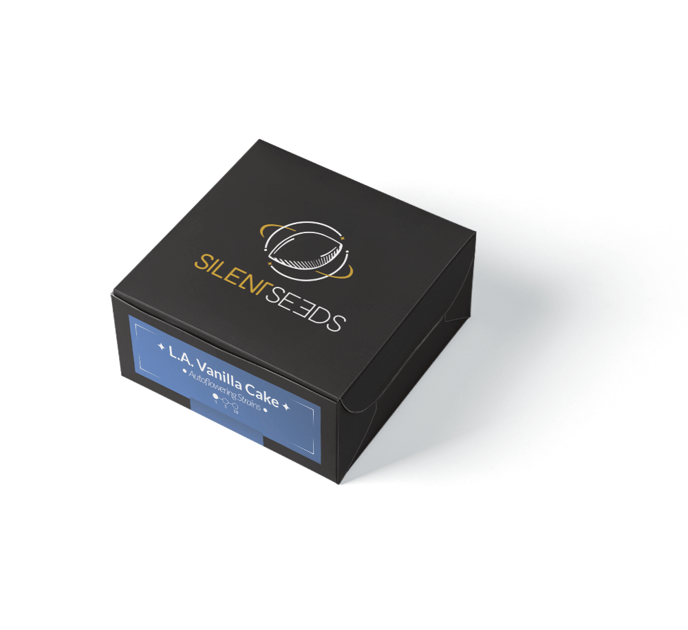 L.A. Vanilla Cake Auto