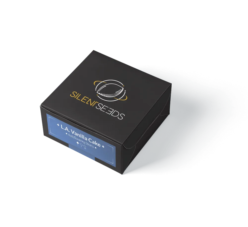 L.A. Vanilla Cake Auto