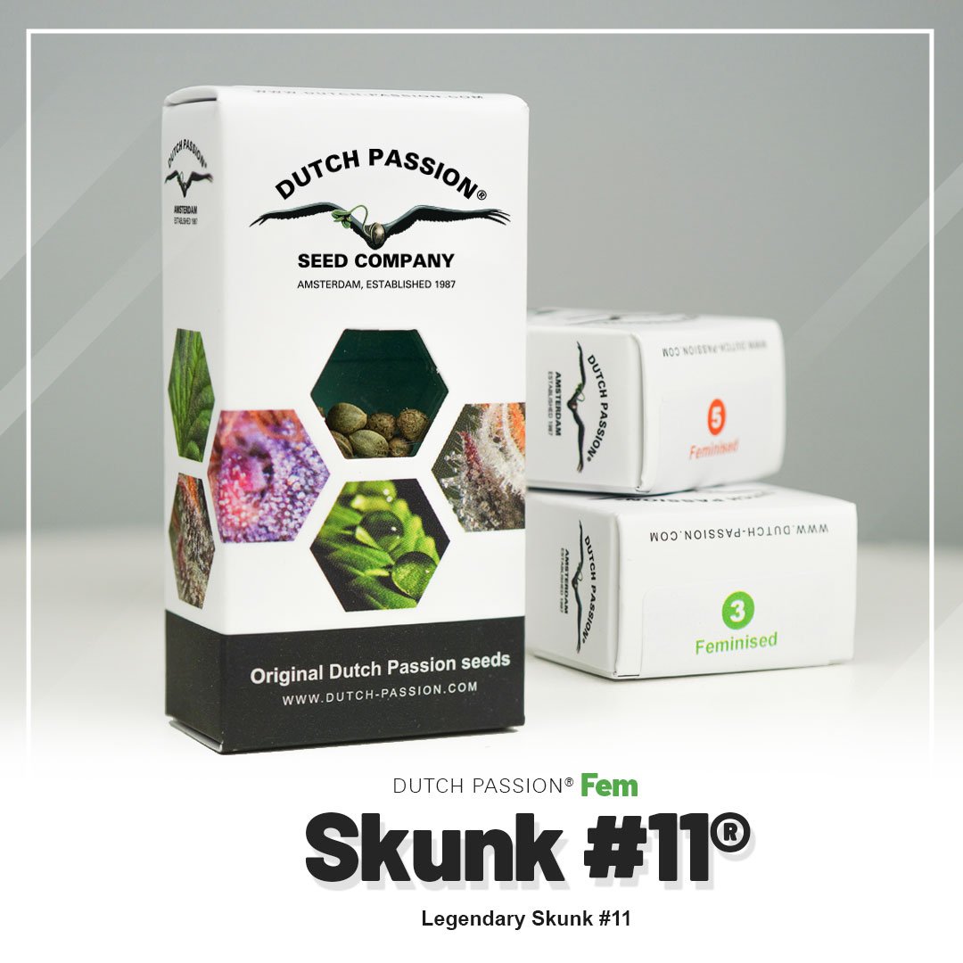 Skunk #11®