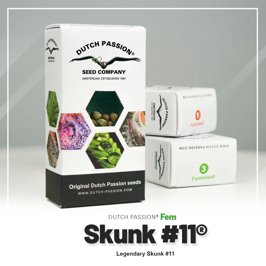 Skunk #11®