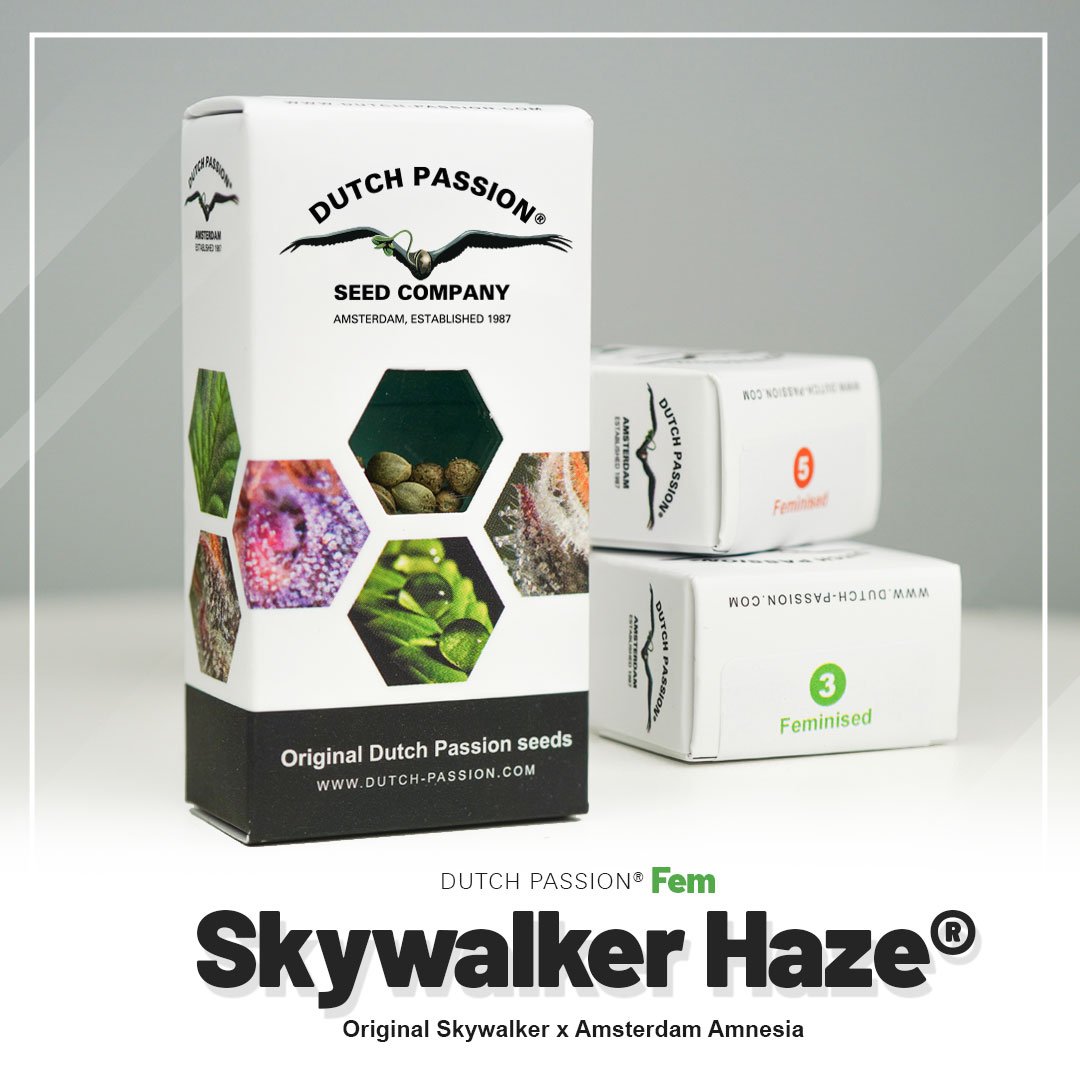 Skywalker Haze®