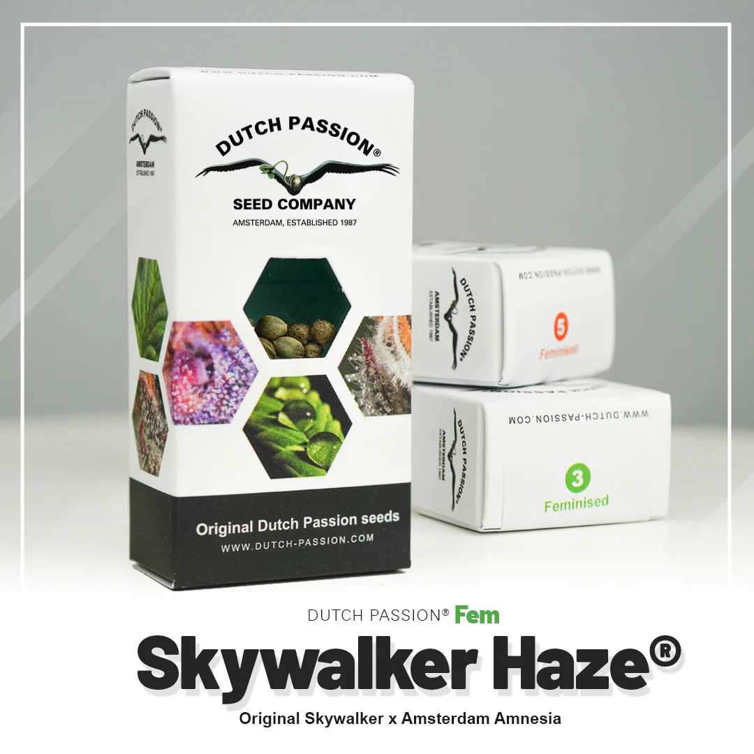 Skywalker Haze®