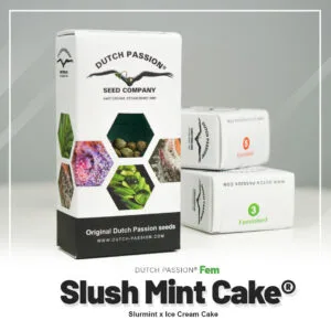 Slush Mint Cake®