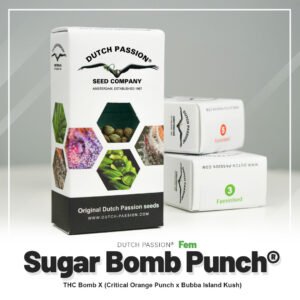 Sugar Bomb Punch®