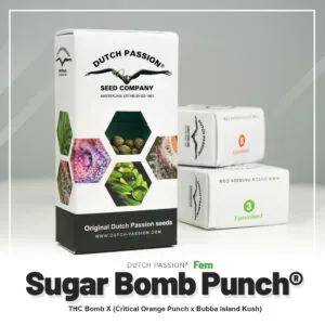 Sugar Bomb Punch®