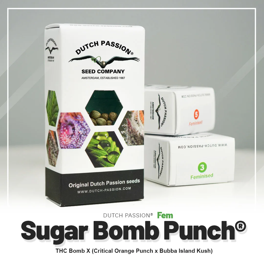 Sugar Bomb Punch®