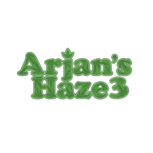 Arjan's Haze #3