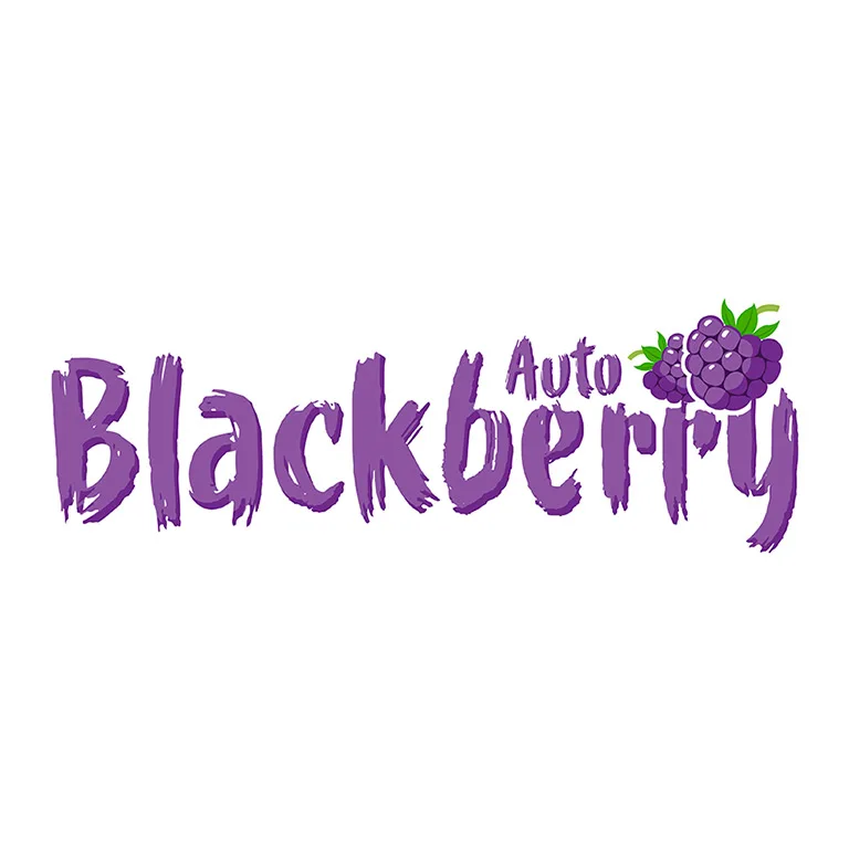 Blackberry Auto