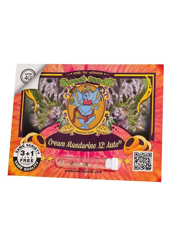 Cream Mandarine XL Auto