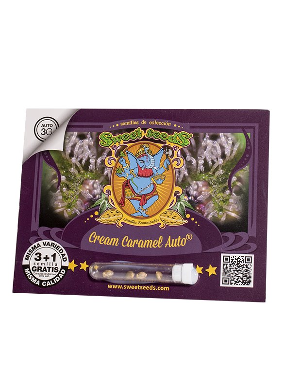 Cream Caramel Auto®