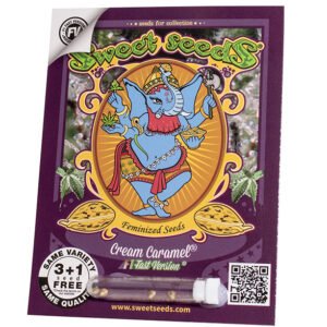 Cream Caramel F1 Fast Version®