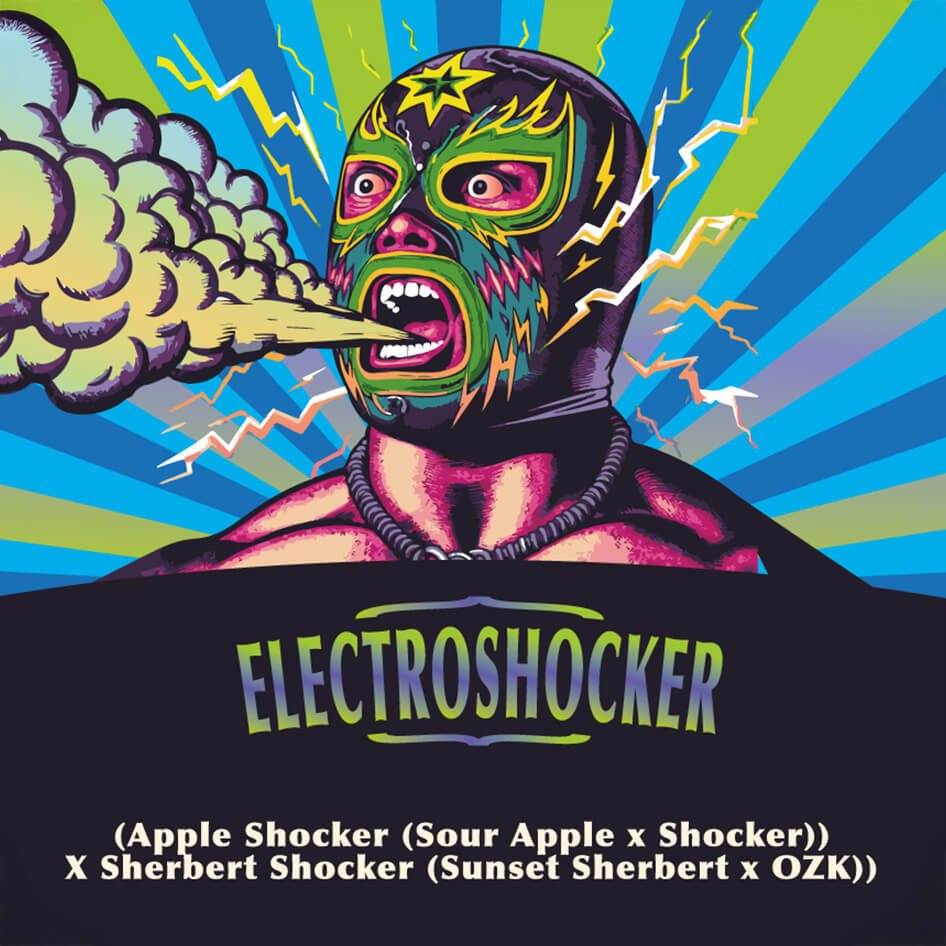 Electroshocker