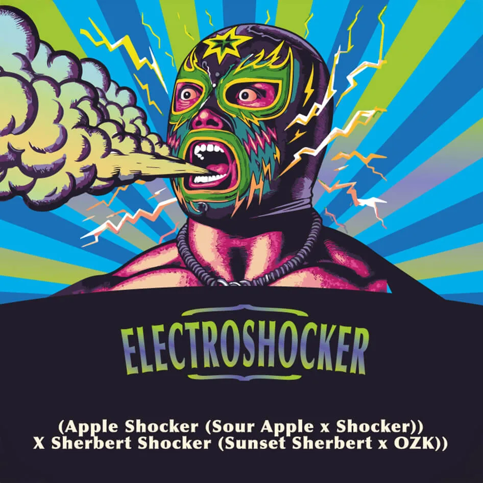 Electroshocker