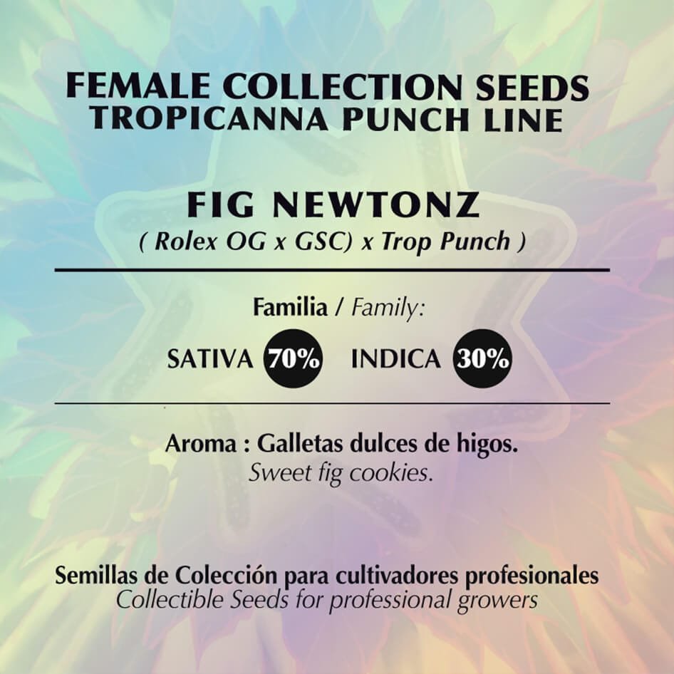 Fig Newtonz - Imagem 2