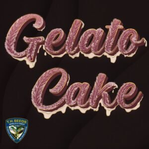 Gelato Cake