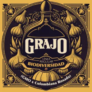 Grajo