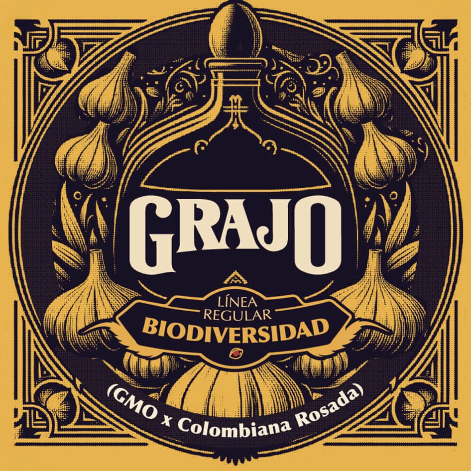 Grajo