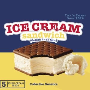 Ice Cream Sandwich - Imagem 3