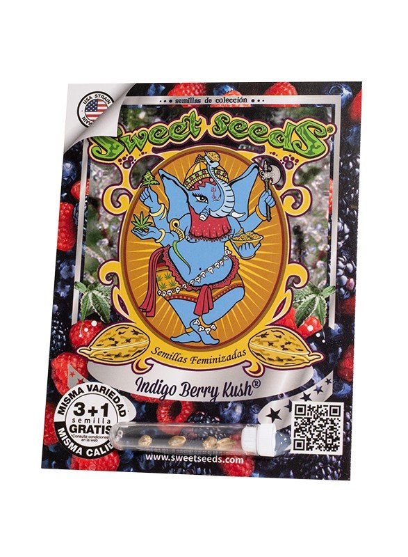 Indigo Berry Kush®