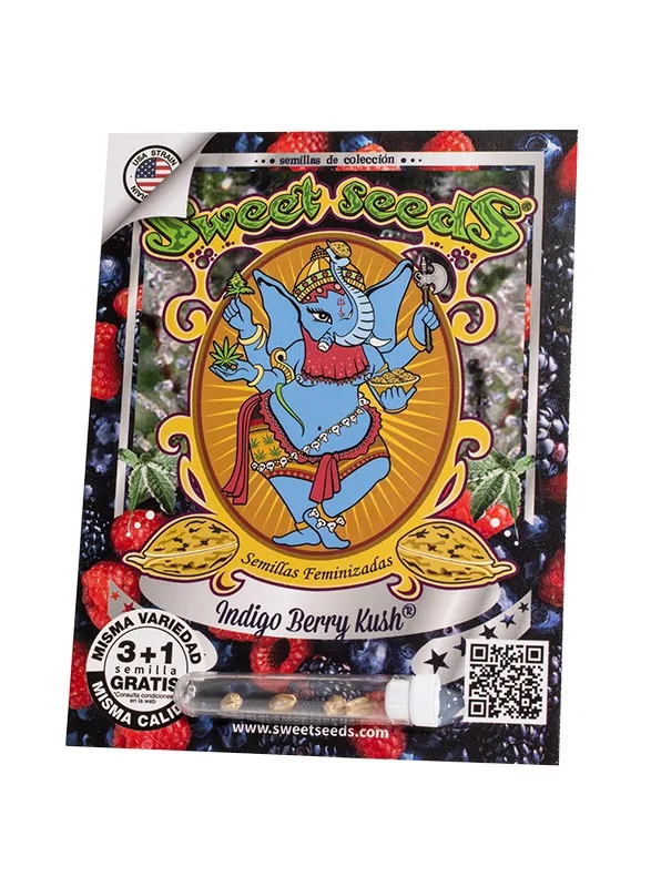 Indigo Berry Kush®