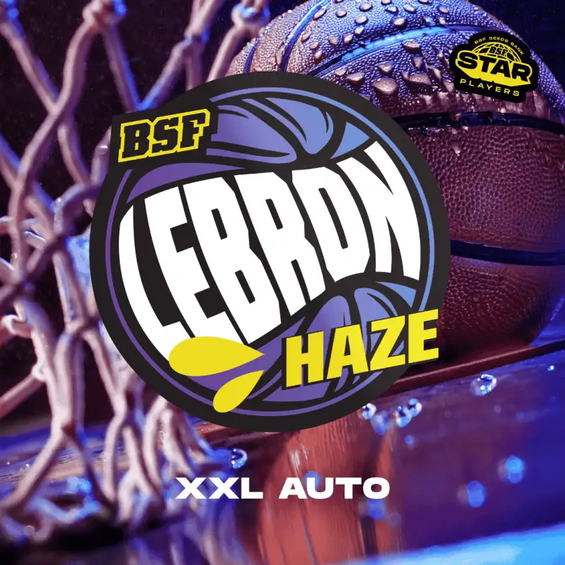 Lebron Haze XXL Auto