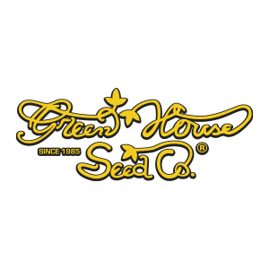 Gelato 41 x Gelato 41 Auto