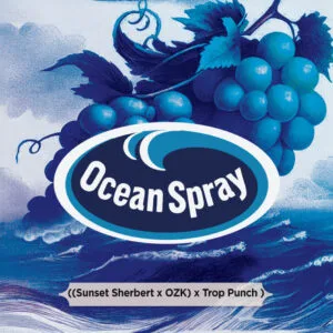 Ocean Spray