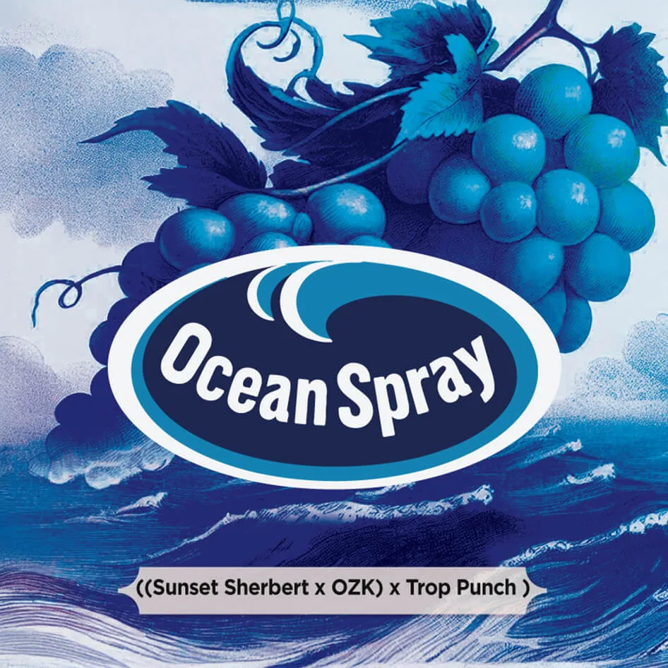 Ocean Spray