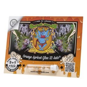 Orange Apricot Glue XL®