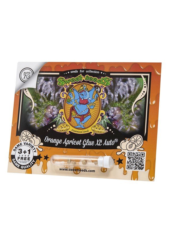 Orange Apricot Glue XL®