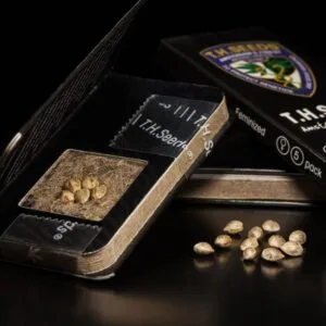 Kushage