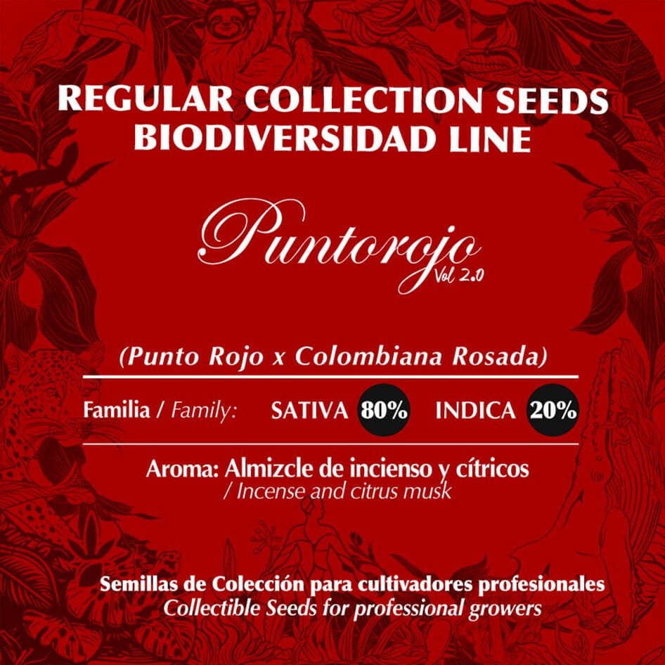 Punto Rojo Vol.2 - Imagem 2