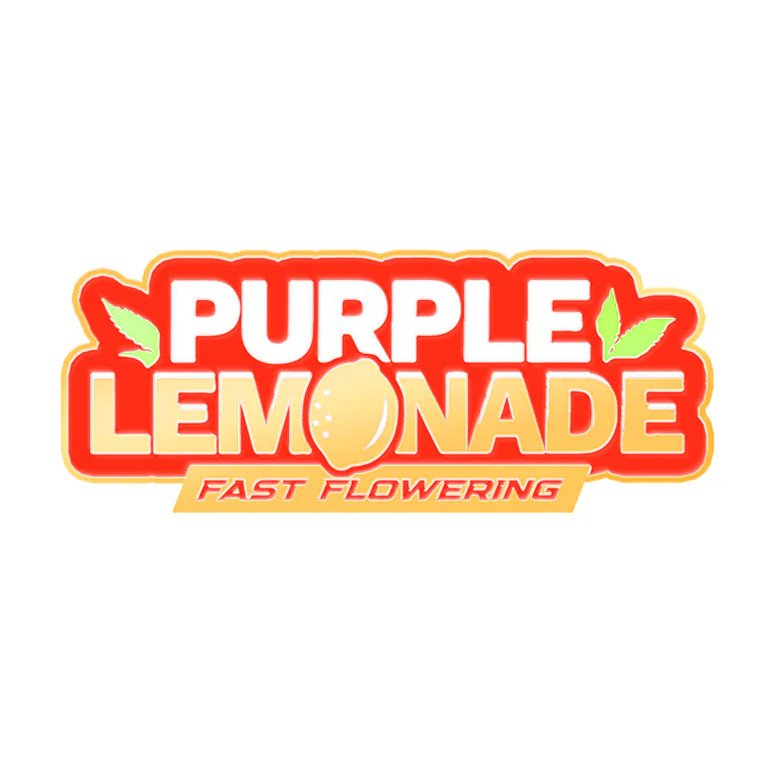 Purple Lemonade FF