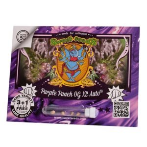 Purple Punch OG XL®