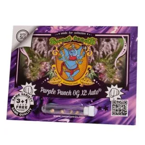 Purple Punch OG XL®