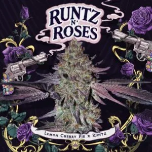 Runtz n Roses