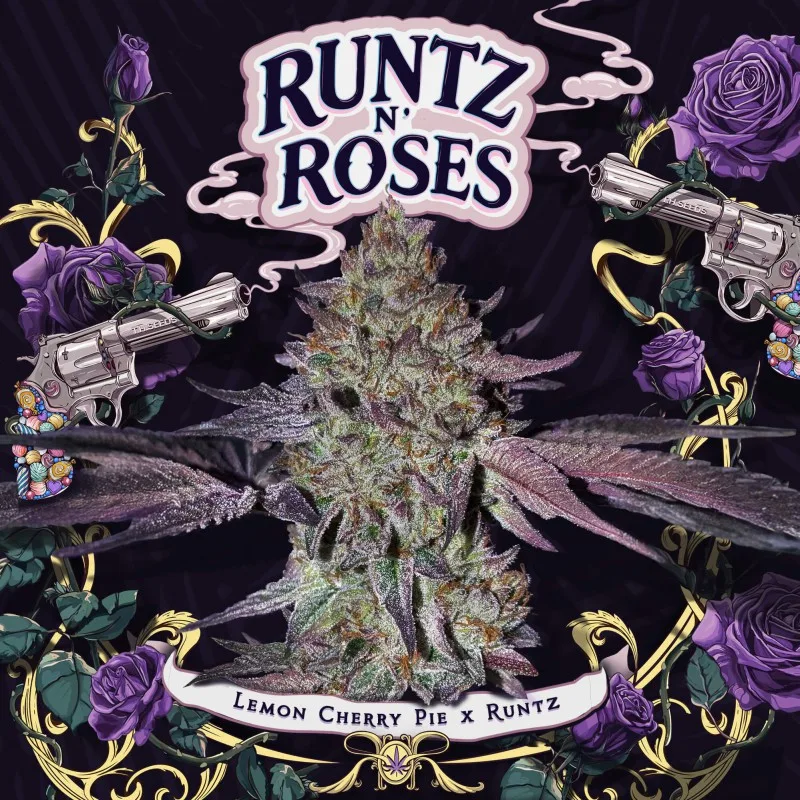Runtz n Roses