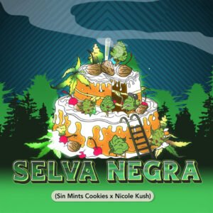 Selva Negra
