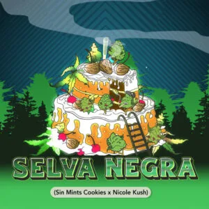 Selva Negra