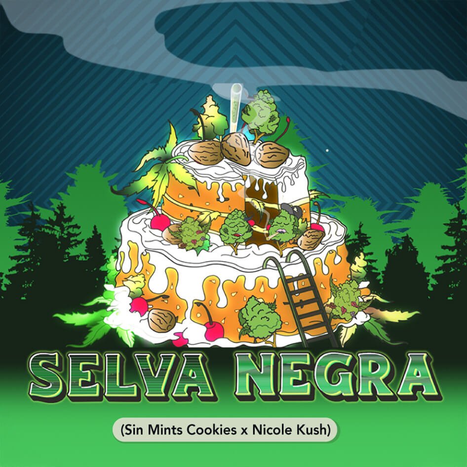 Selva Negra