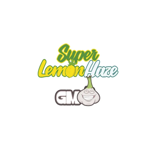 Super Lemon Haze X GMO