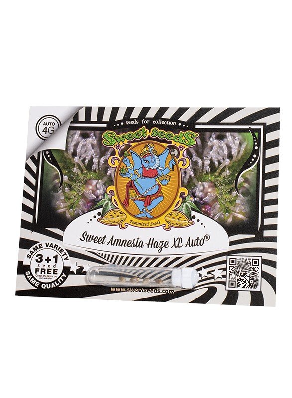 Sweet Amnesia Haze XL®