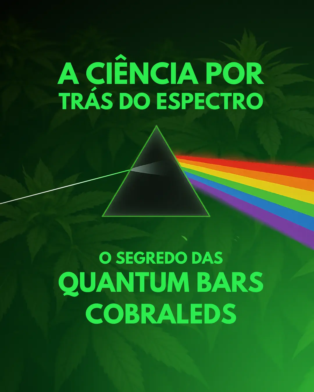 Capa do guia 1